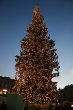 albero di natale madonna di campiglio