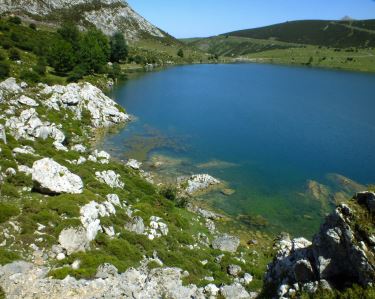 Lago nel verde