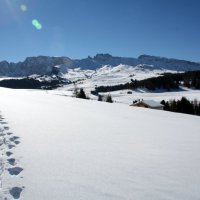 Dopo un'abbondante nevicata