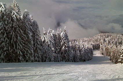 settimana bianca alle dolomiti